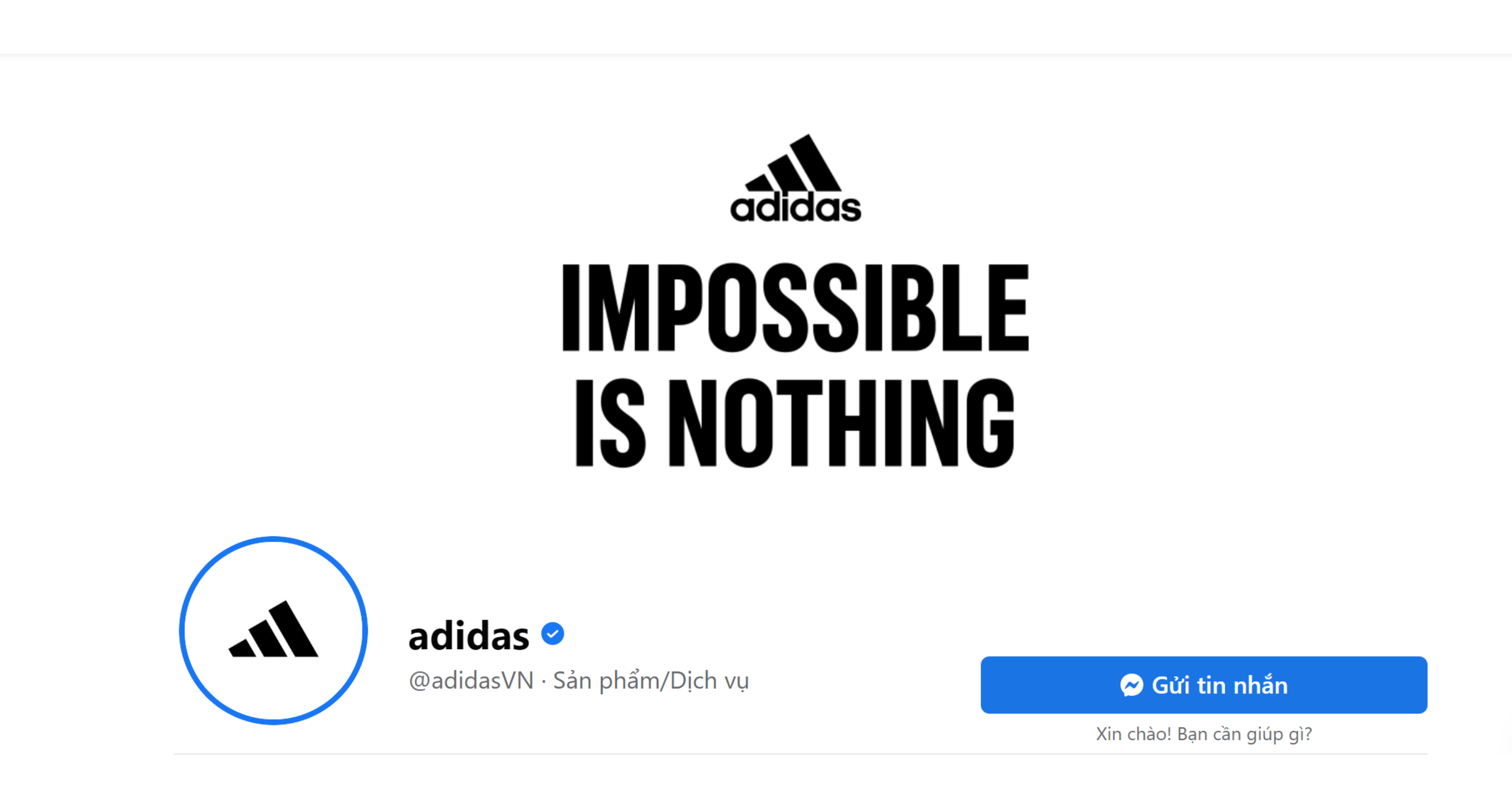 Adidas multichannel strategy