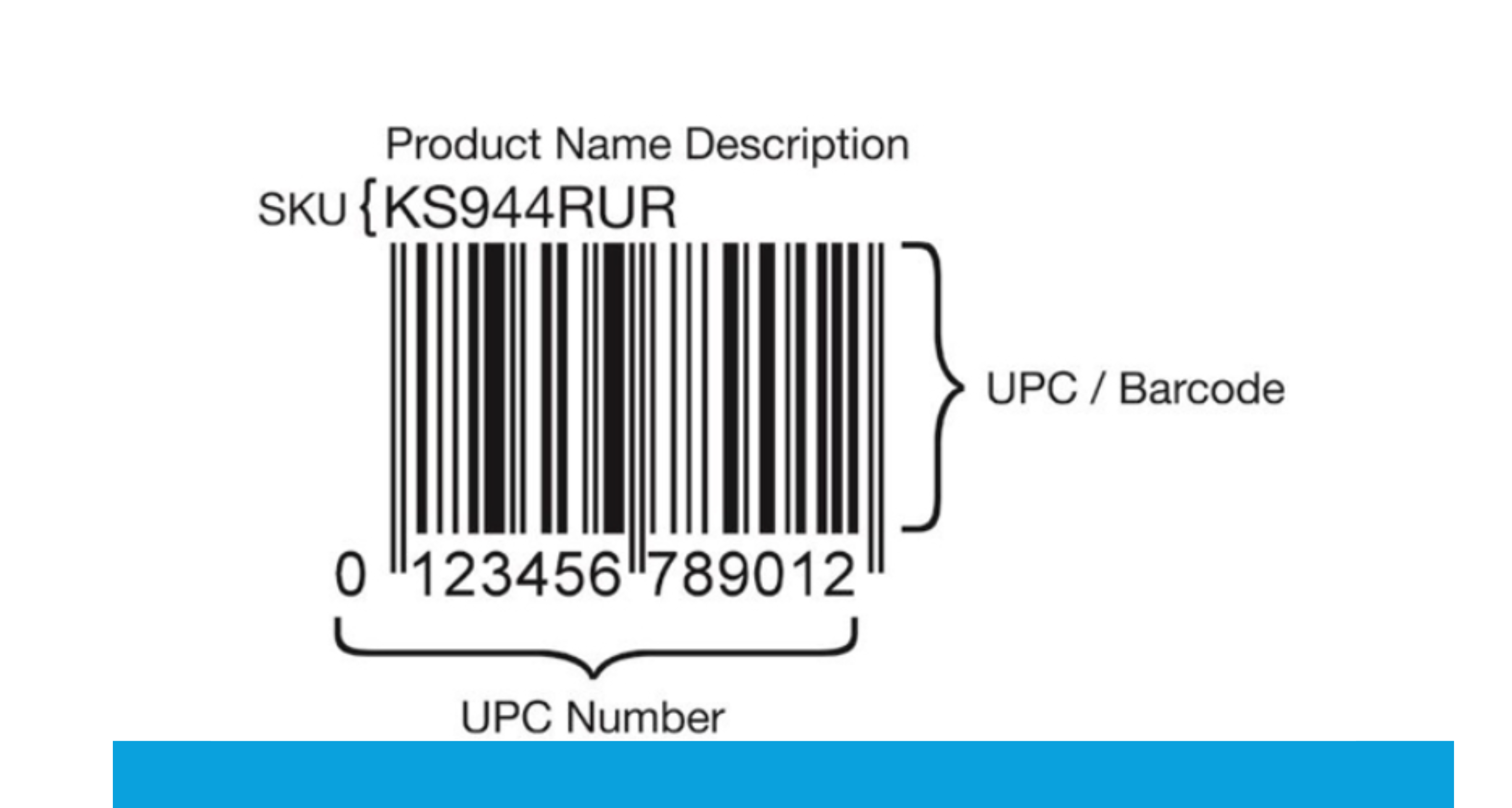 SKU and UPC